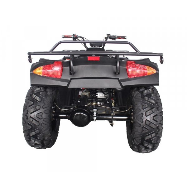 Quad - Schwarz 250cc Quad - Schwarz 250cc