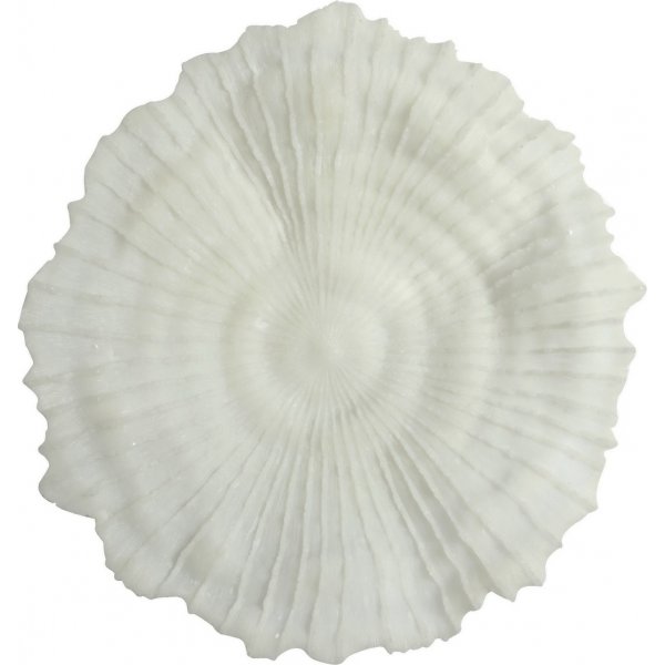 Korall v�ggdekoration D 56 cm - Ljus