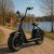 Elektroroller Fatbike - Schwarz 1000W + Reflektierendes Geschirr