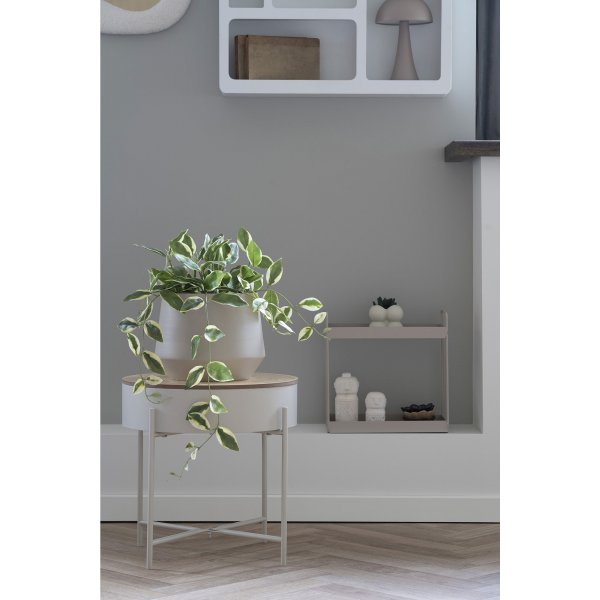 Porslinsblomma konstv�xt - Gr�n