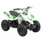 Mini-fyrhjuling Vit & grn - 800W