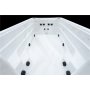 Swimspa Flood 860